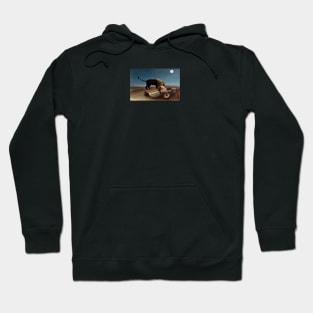 Rousseau's Risk Hoodie